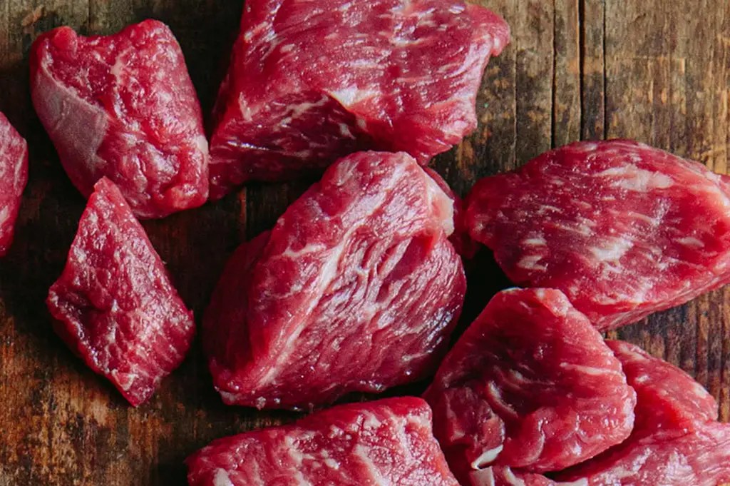 Scientifically Proven Wellness Pet Food