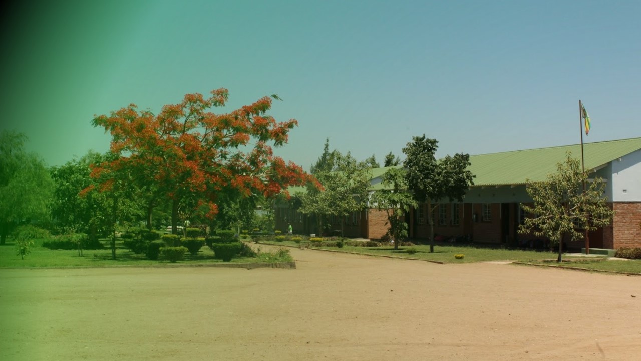 Wellton Primary School