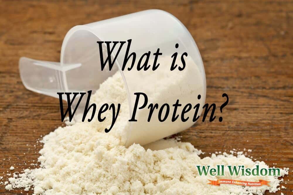 Whey Protein and Creatine Which is Better to Use?