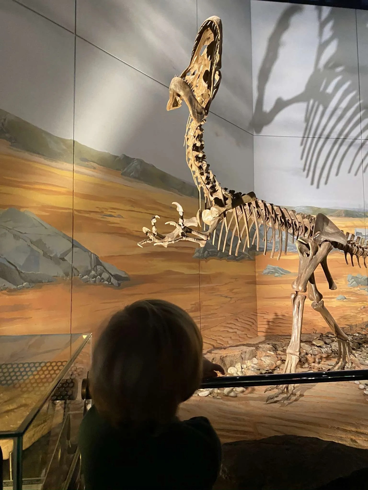 Cardiff Museum with a Toddler or young Children Welsh