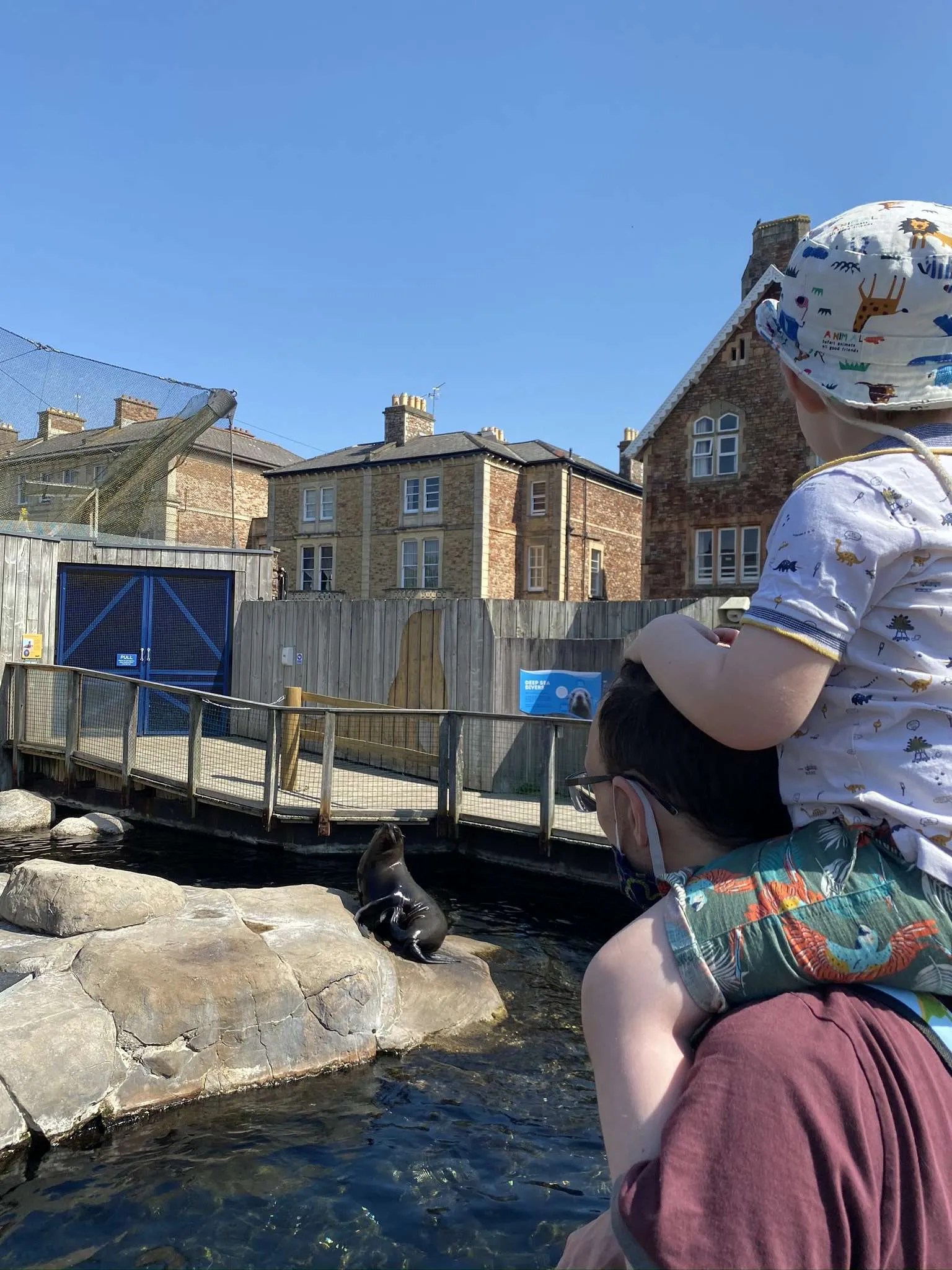 Bristol Zoo during the Pandemic COVID19 Experience and Review Welsh