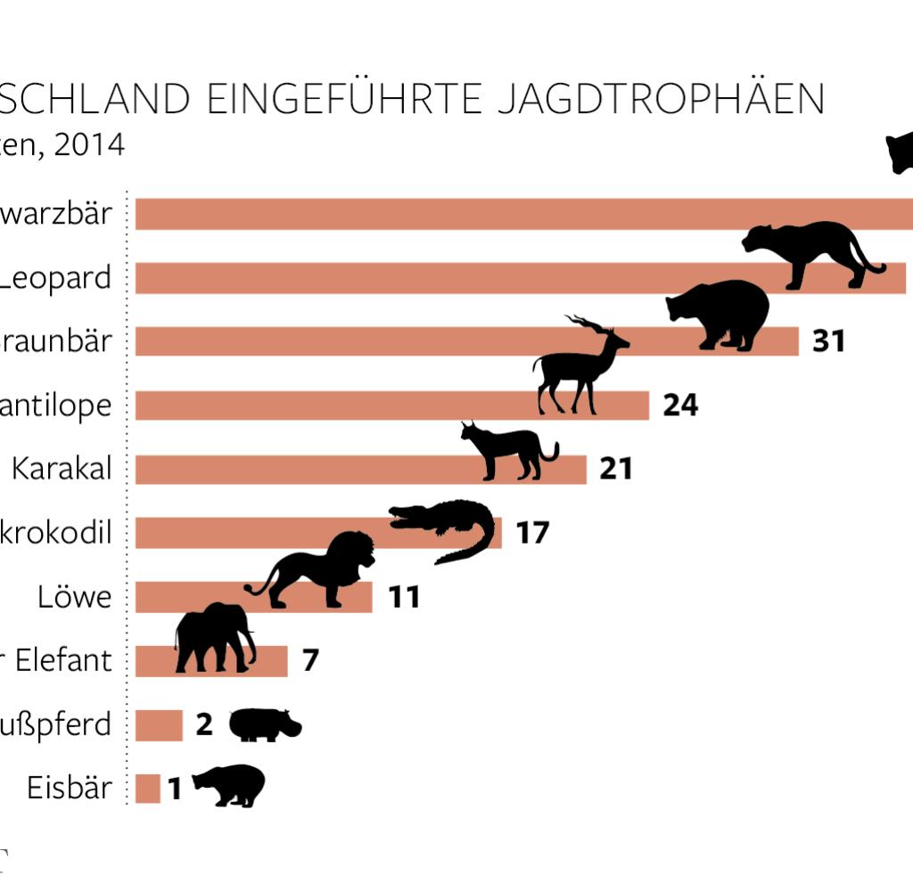 Trophäen Jäger führten 2014 elf Löwen nach Deutschland ein | The Big Savers