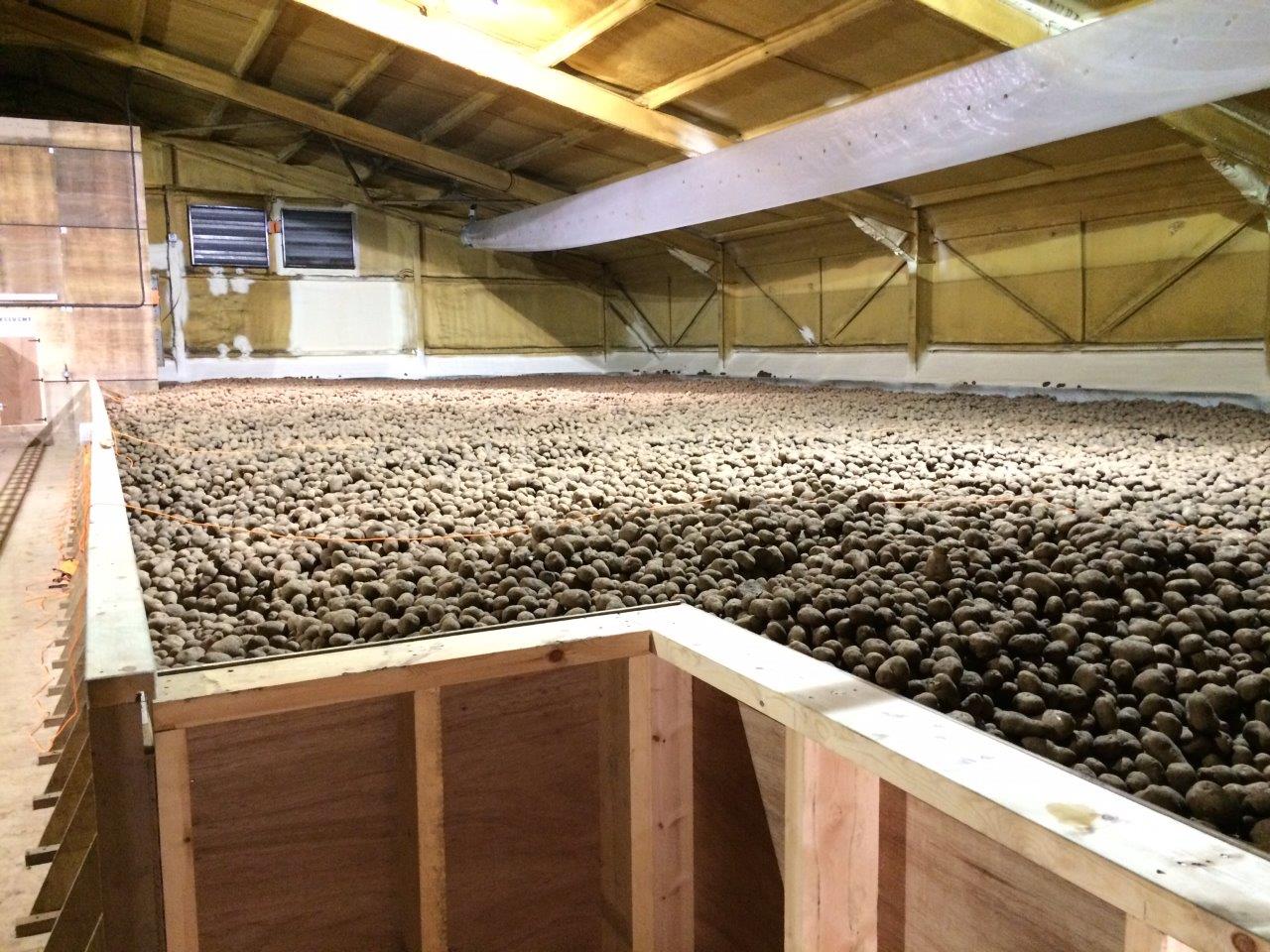 Bulk Potato Store Conversion Welvent