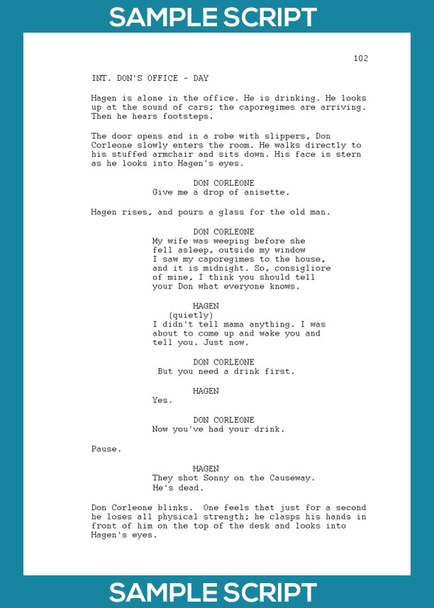 Script Writing for Video Hire a writer or do it yourself?