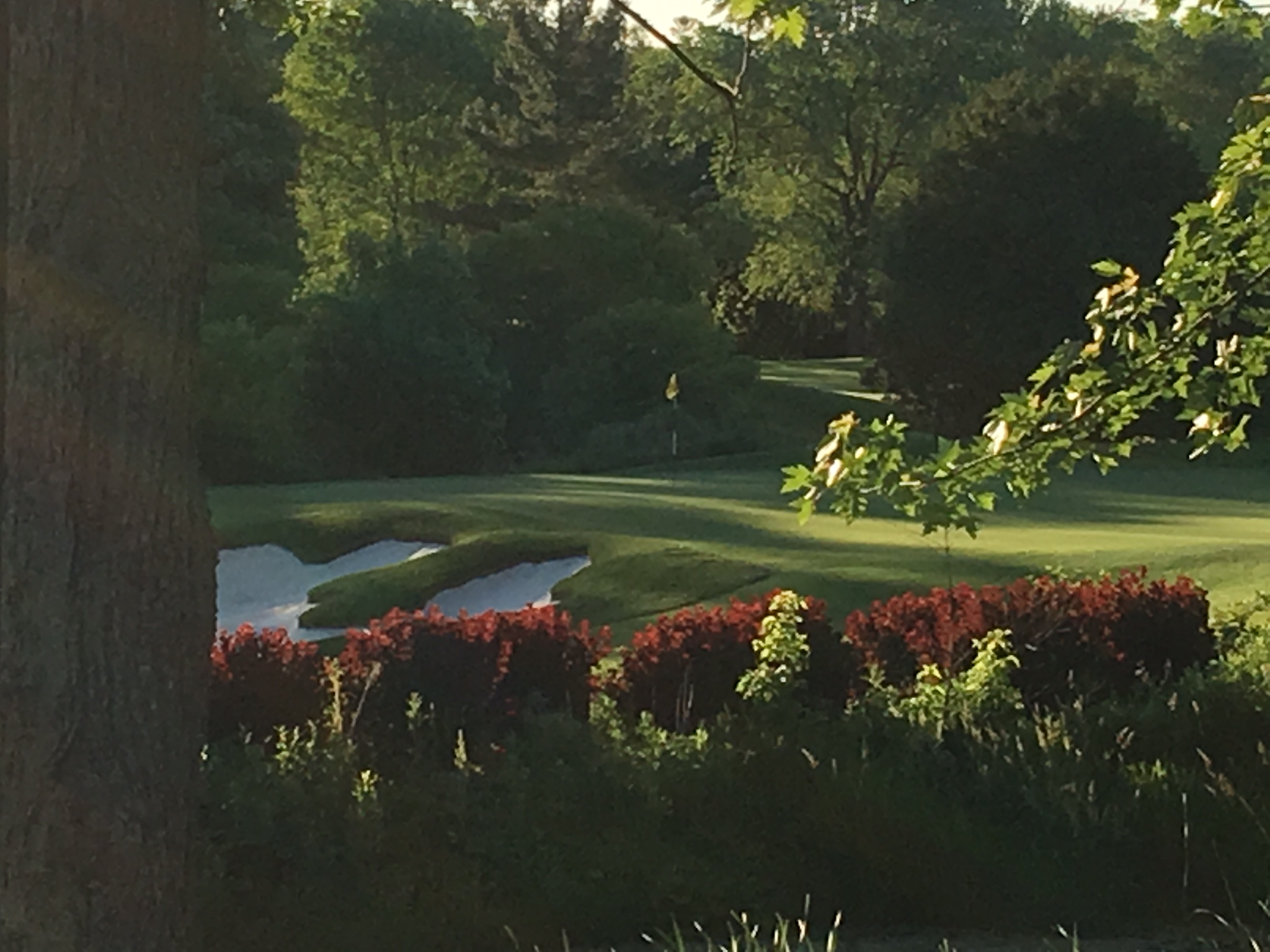 Dundas Valley Golf Club Wendover Construction