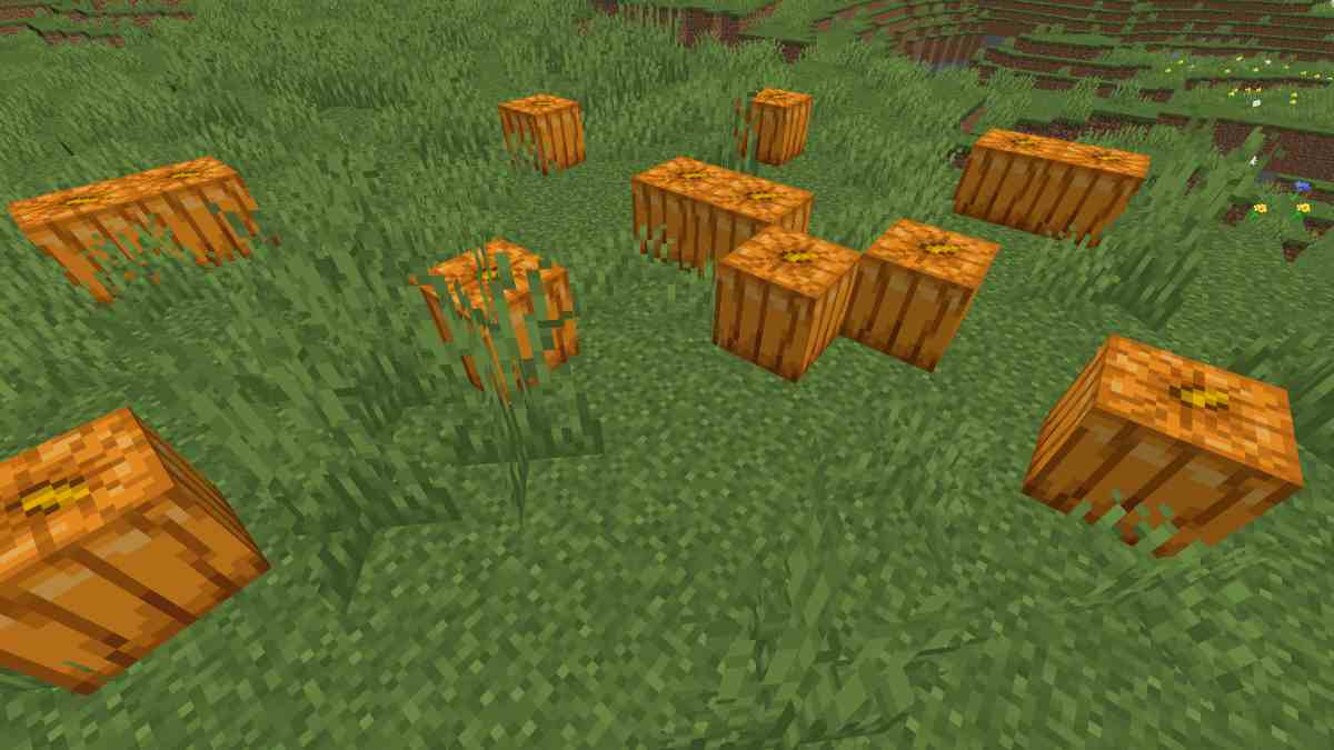 How To Grow Pumpkins In Minecraft WePC Gaming
