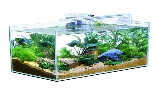 Plexiglass Aquarium WeProFab