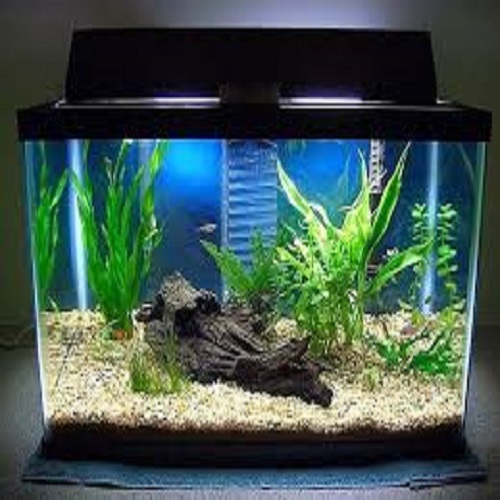 Plexiglass Aquarium WeProFab