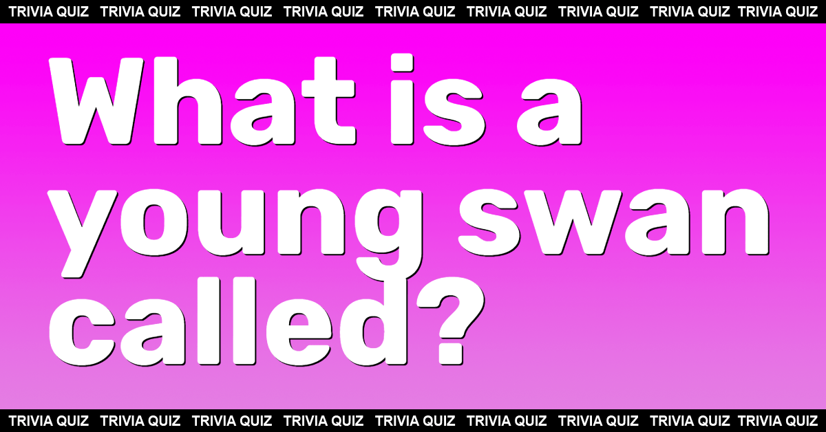 General Knowledge Quiz (10 questions)