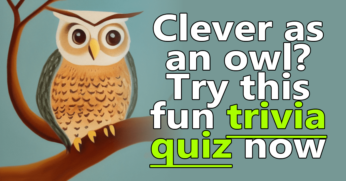 Trivia quiz for clever owls