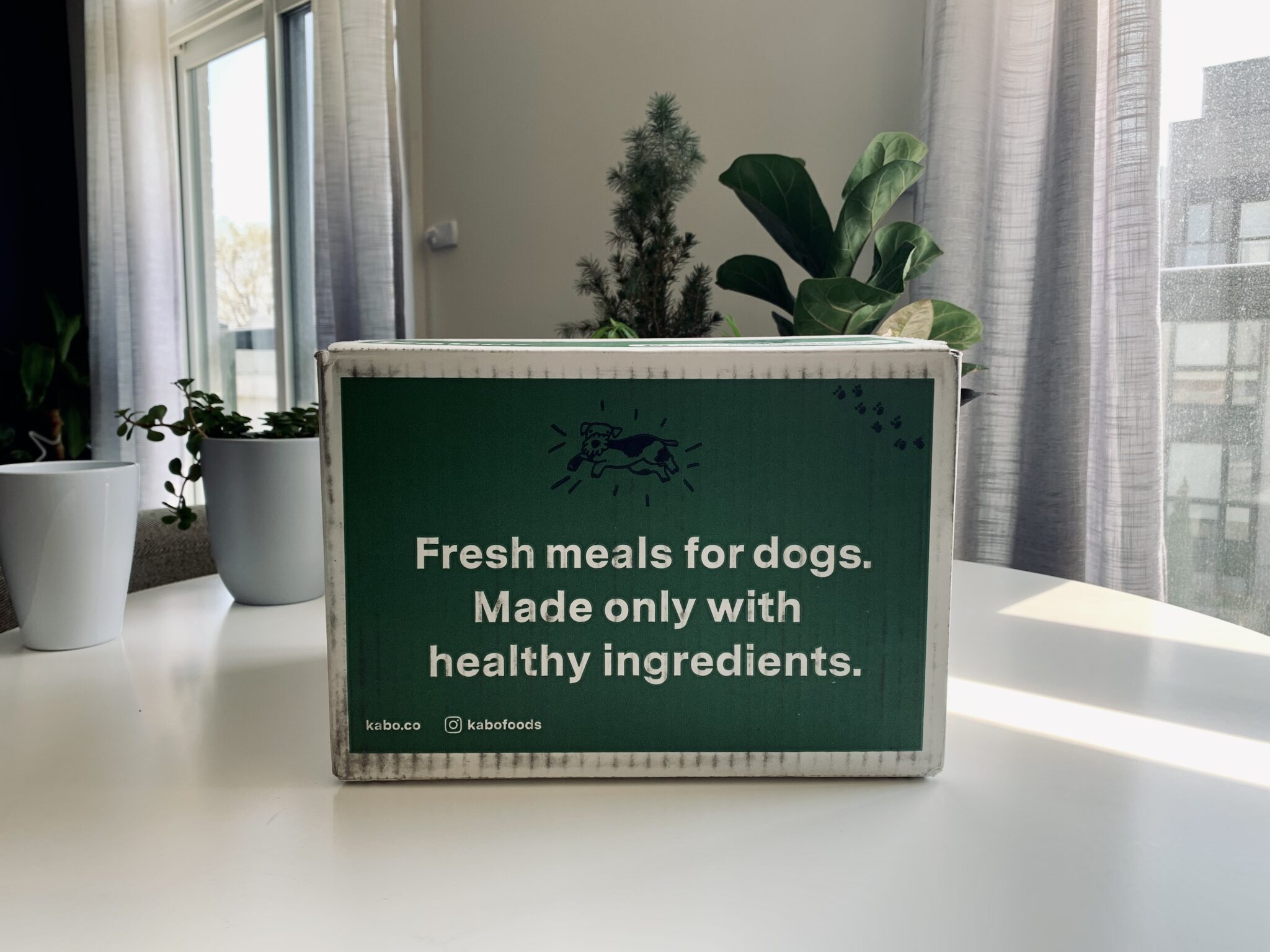 TESTED Kabo Dog Food TESTED