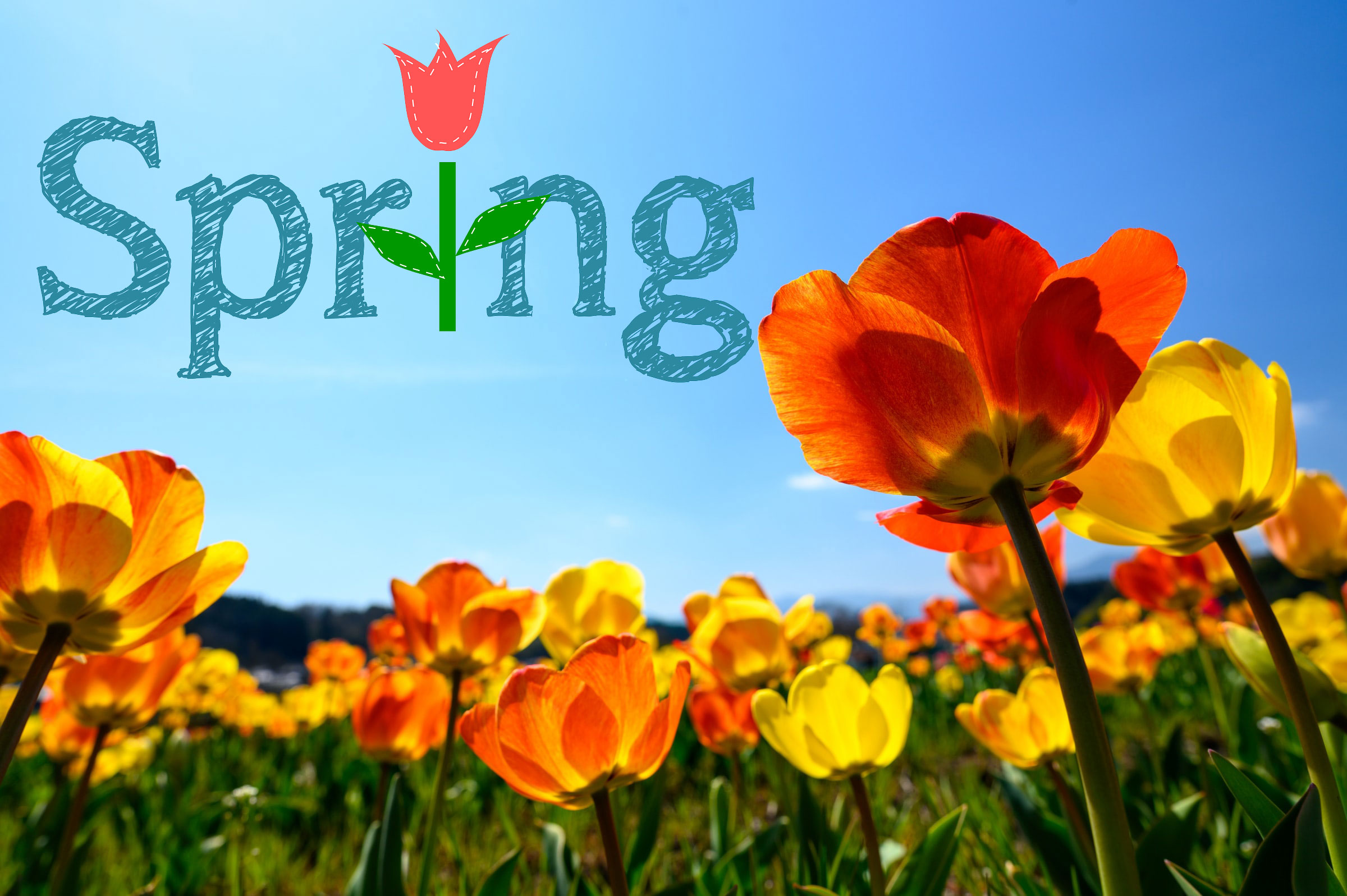 Spring Home Maintenance - Wesenberg Homes
