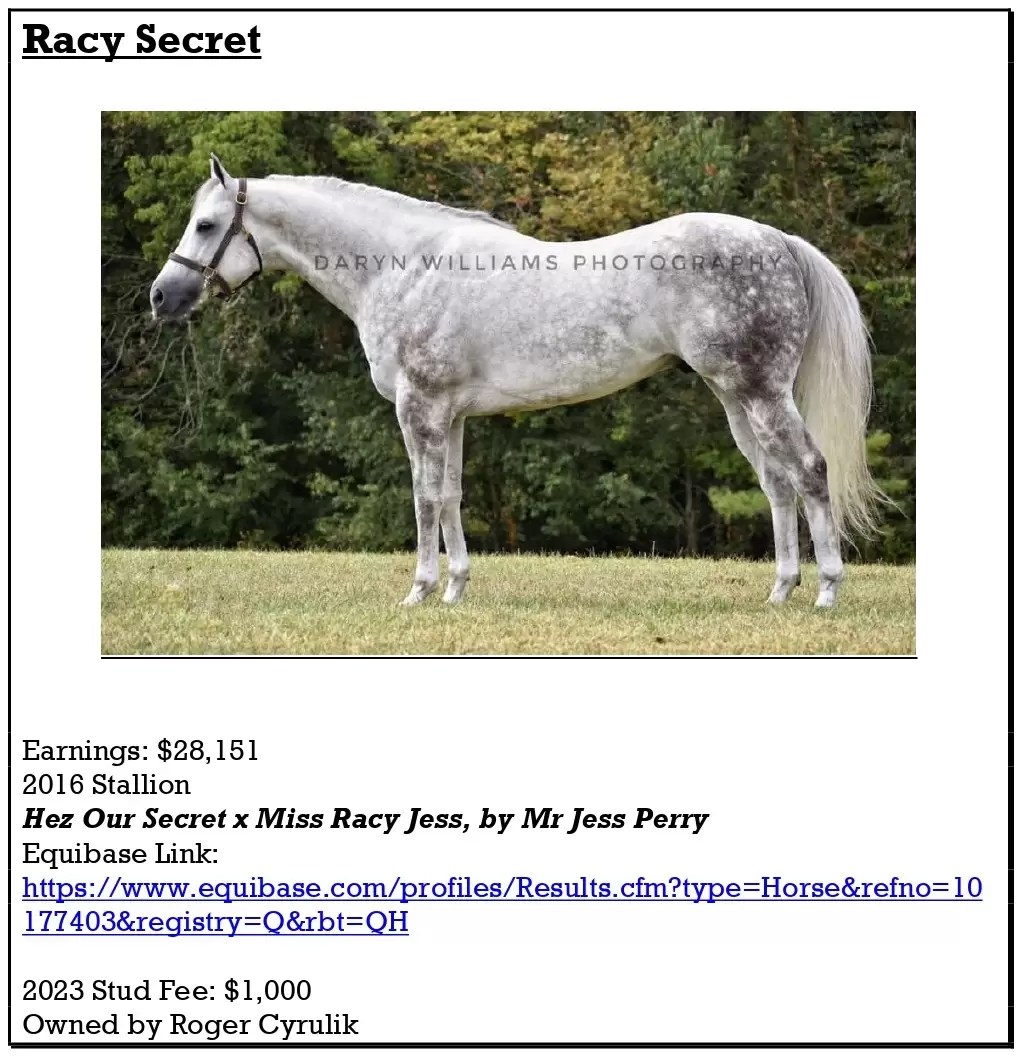 Equine Reproductive Services in Clinton, Greencastle, Rockville and