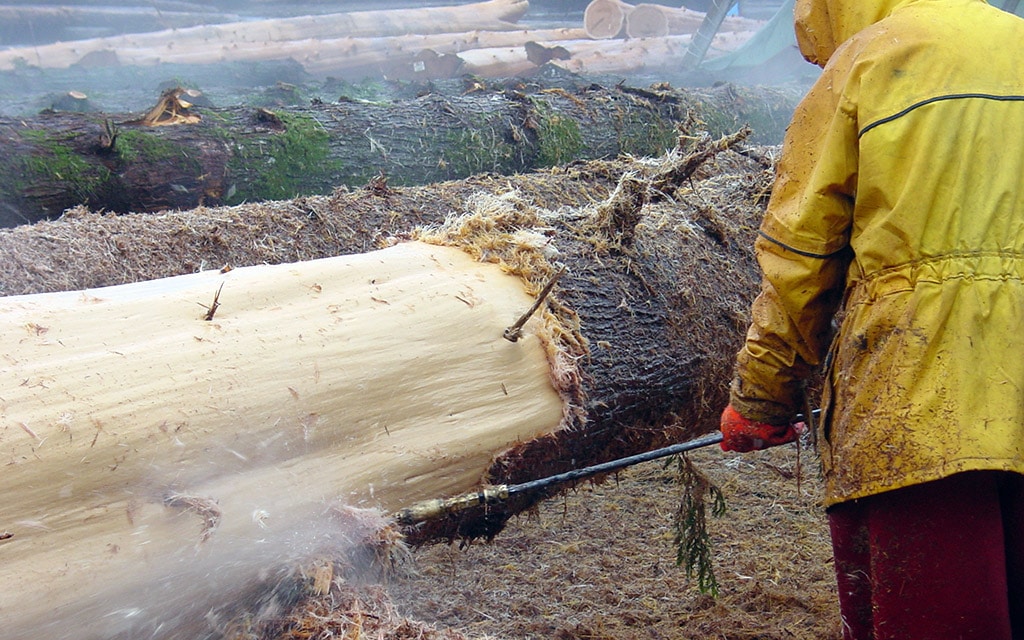 Process West Coast Log & Timber