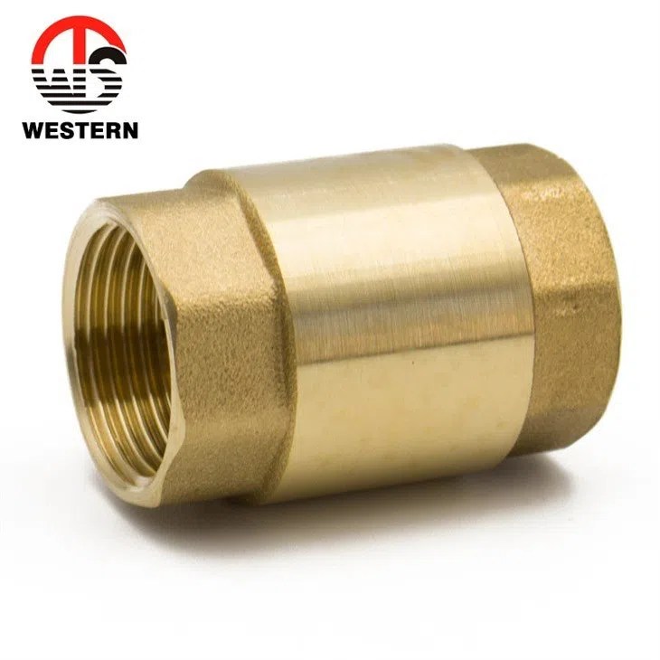 Brass Spring Vertical Check Valve Brass Core Manufacturer & Supplier