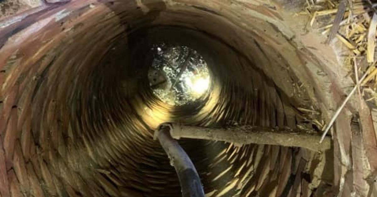 Senior Dog Rescued by Firefighters After Falling Into Abandoned Well