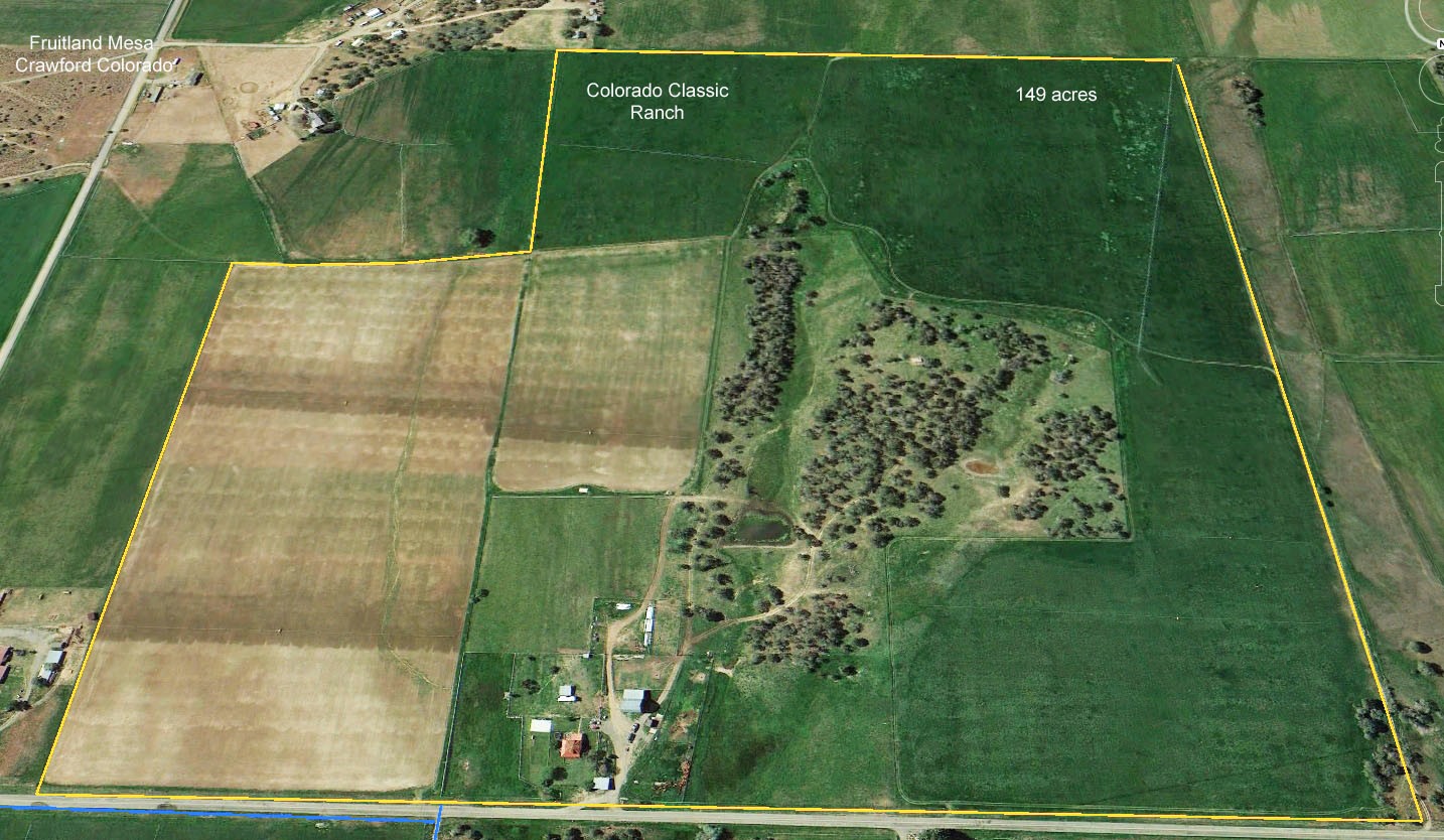 Colorado Classic Shaffer Real Estate