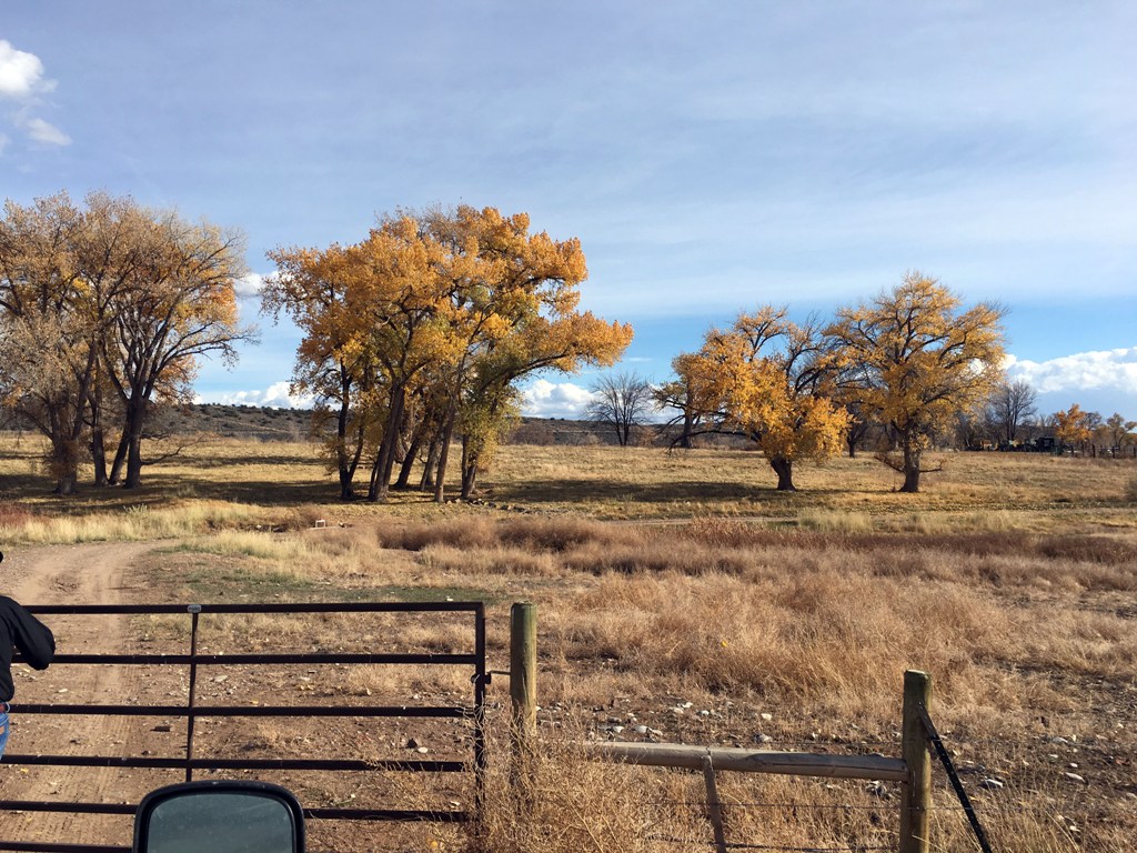 Fisher Ranch Sold Shaffer Real Estate