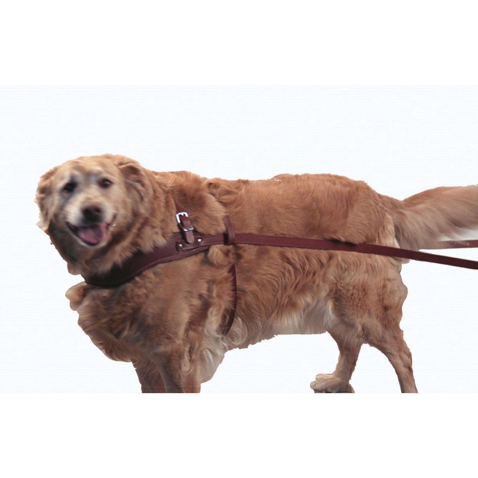 LEATHER DOG PULLING HARNESS LARGE