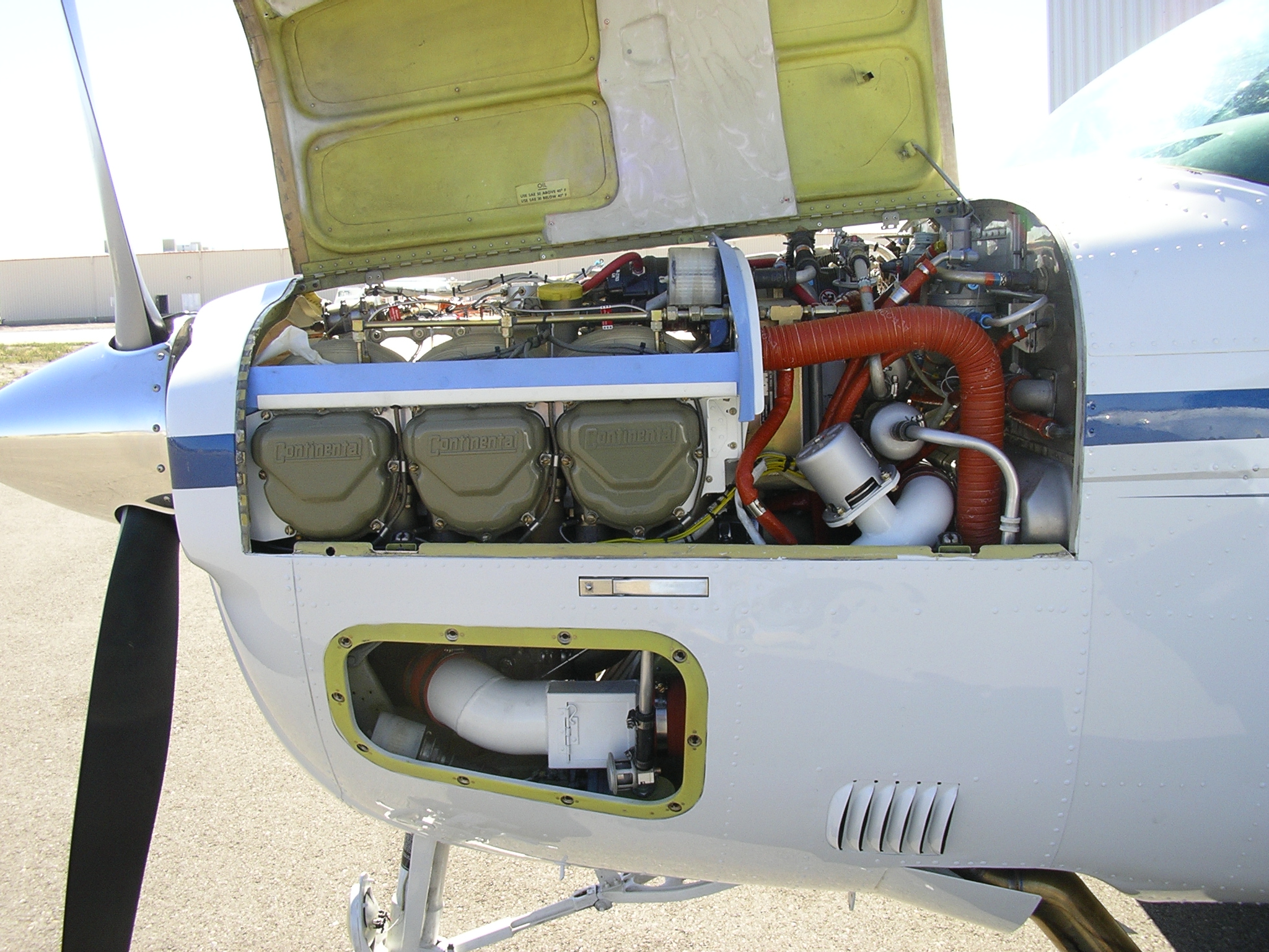 Turbonormalized Bonanza