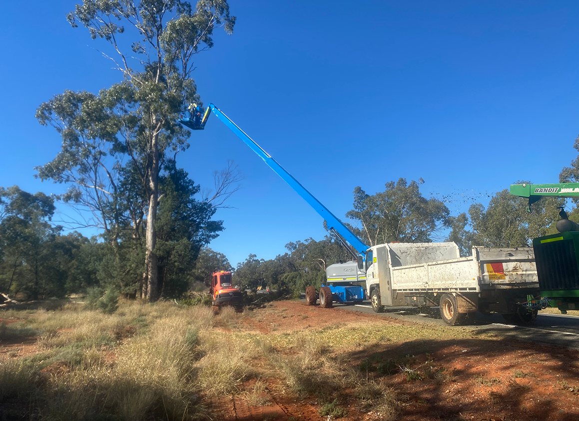 Tree removal pruning and stump grinding Western Tree Management Pty Ltd