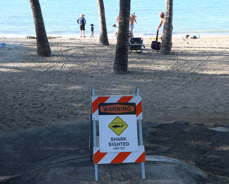 Waikoloa man hospitalized after apparent shark attack West Hawaii Today