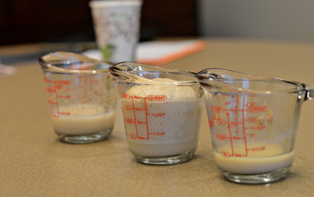 How to Bake with Yeast West of the Loop