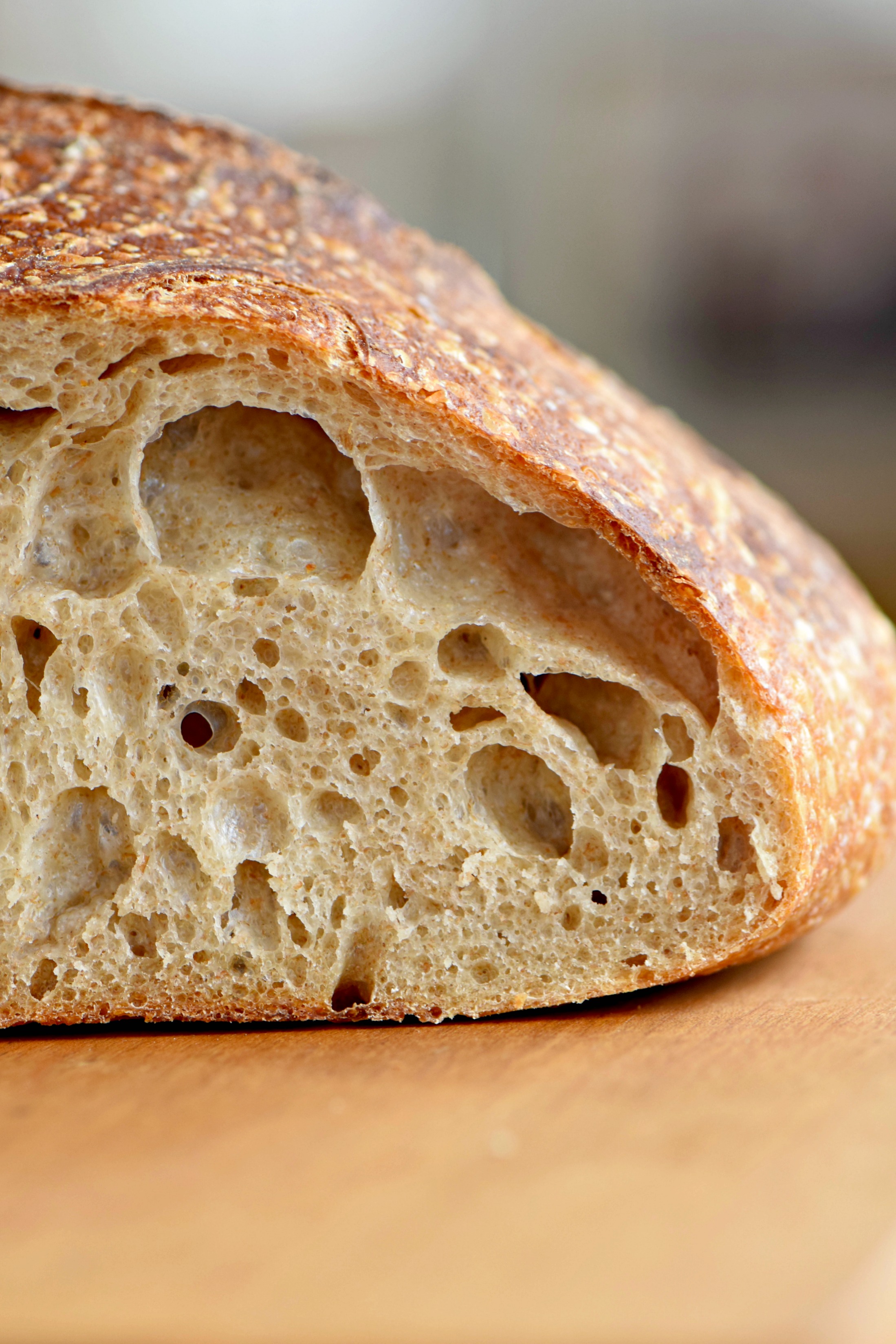 sourdoughbubblesclose West of the Loop