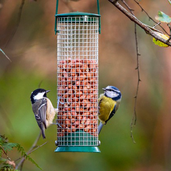 Bird Feeding Tips Weston Nurseries