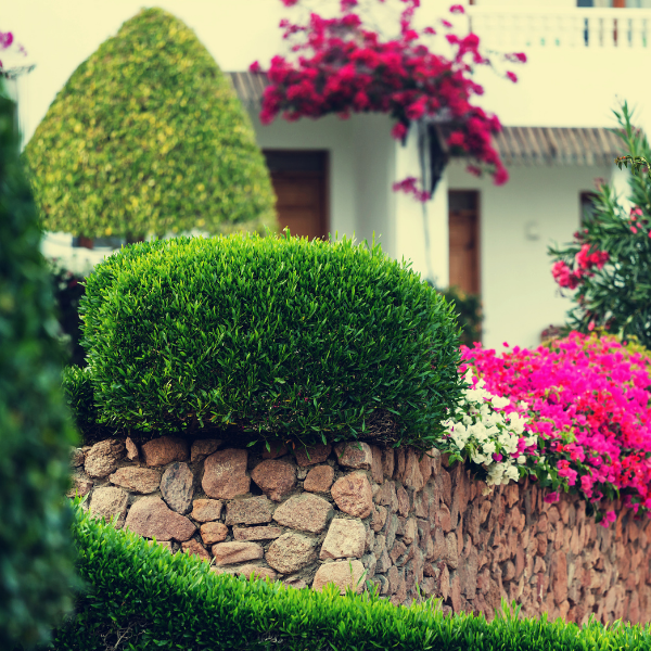 Weston Nurseries Premium Plant, Garden and Landscape Supply