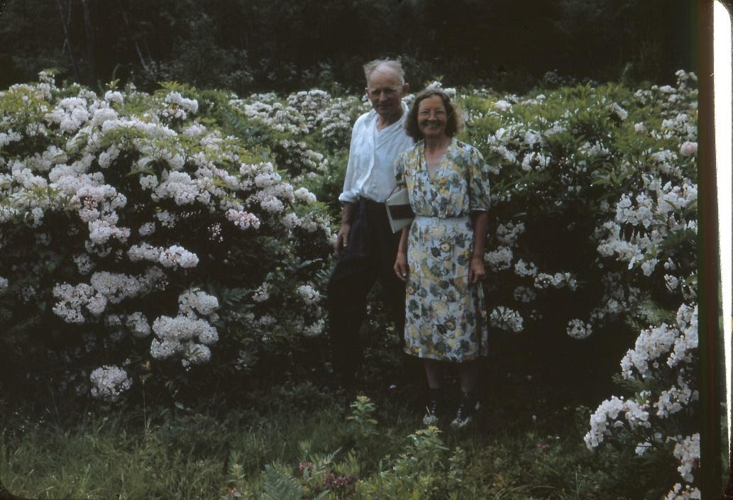 About Us Weston Nurseries