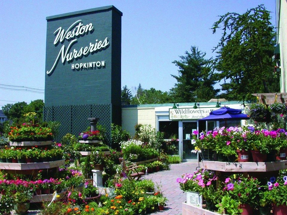 Weston Nurseries Premium Plant, Garden and Landscape Supply