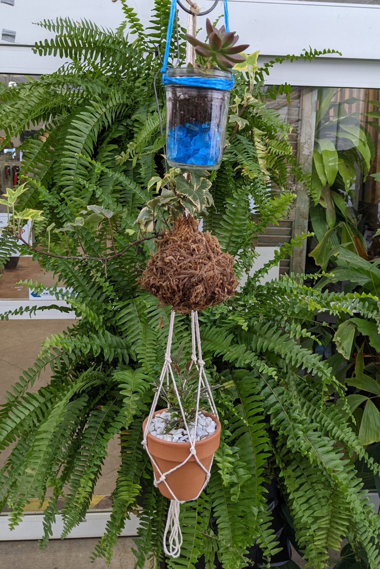 Chelmsford Trio of Hanging Planters Weston Nurseries