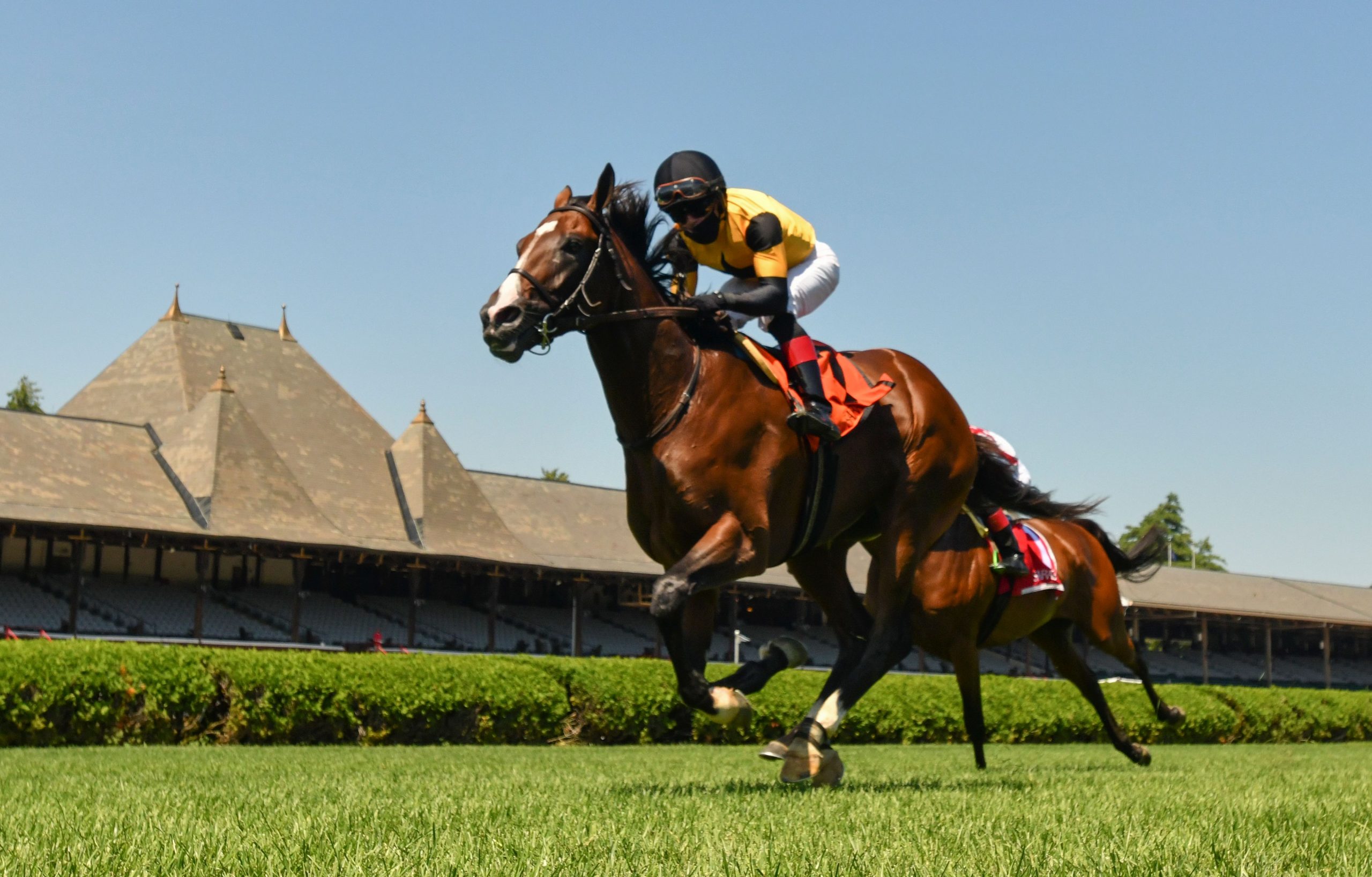 Decorated Invader Goes for 4 in a Row in Saratoga Derby West Point