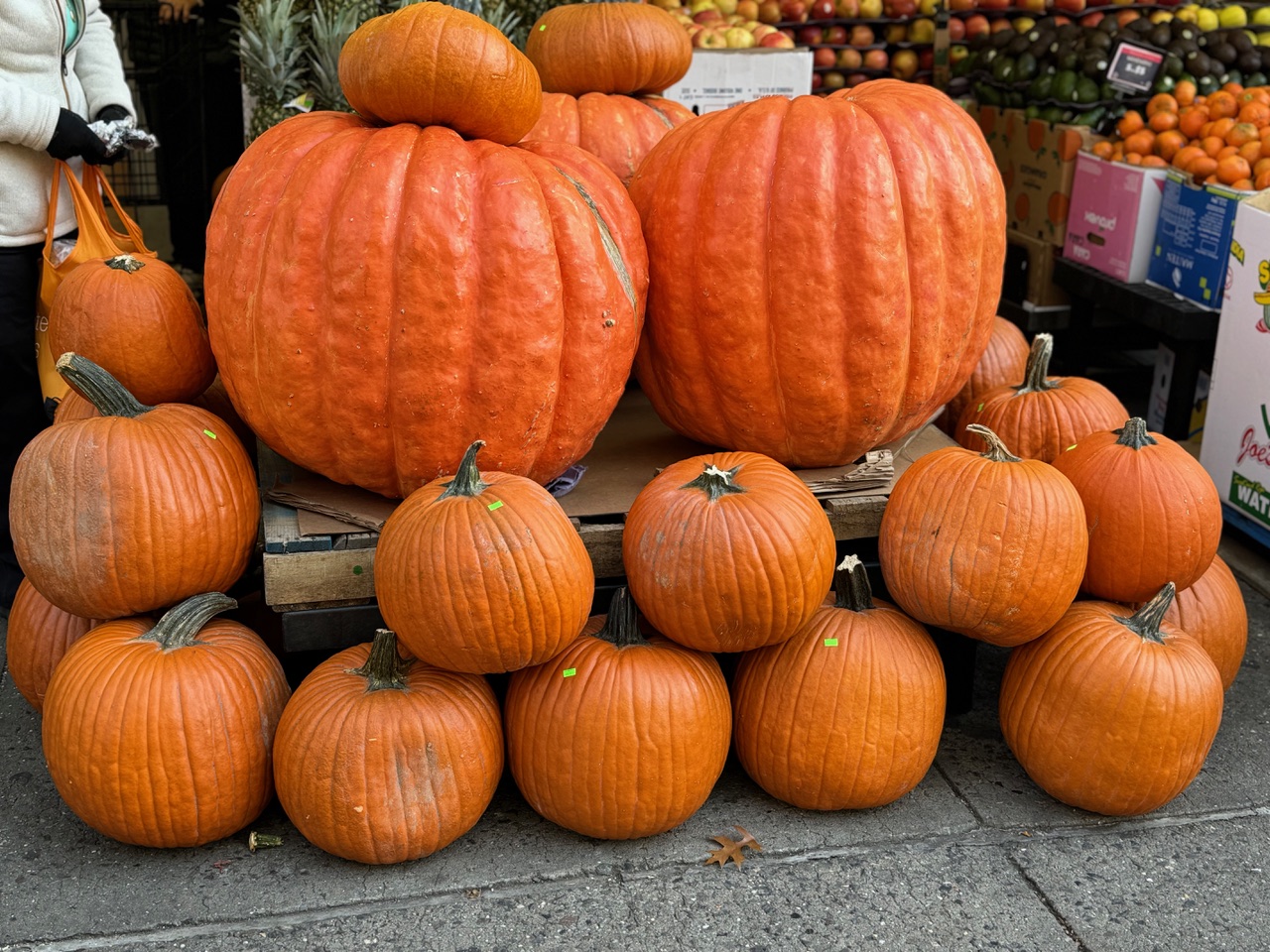 Monday Bulletin Peak Fall Foliage in Central Park Now; Wollman Rink