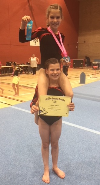 Level 5 Yorkshire Individual Championships Wetherby Gymnastics