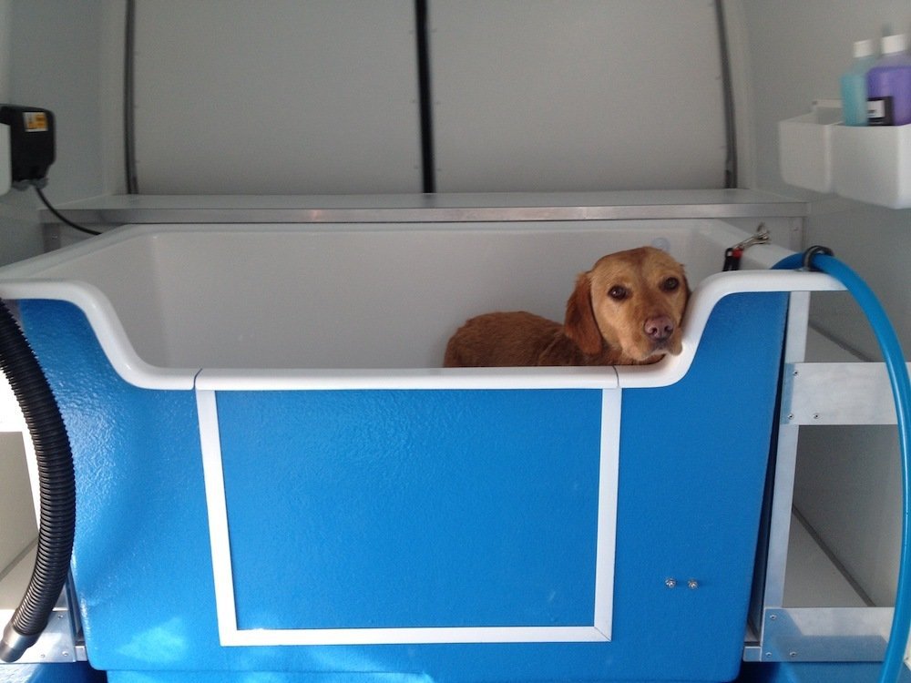 Dog Smart Mobile Grooming