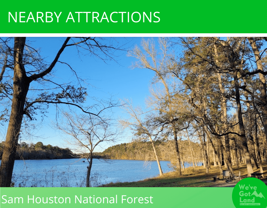 1.26 acres in Trinity County, TX public water and power available!