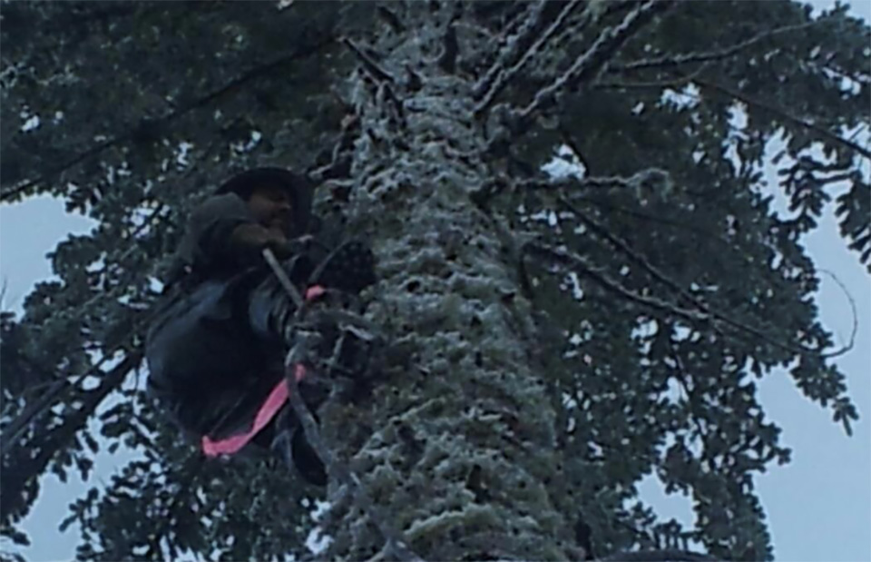 From His Early Days as a Choker Setter, Omar Mell Never Expected To Be