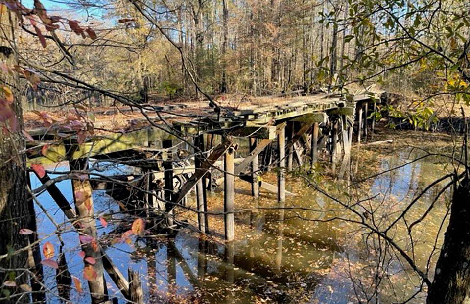 Weyerhaeuser Removes Aging Structure and Helps Restore Bayou Dorcheat