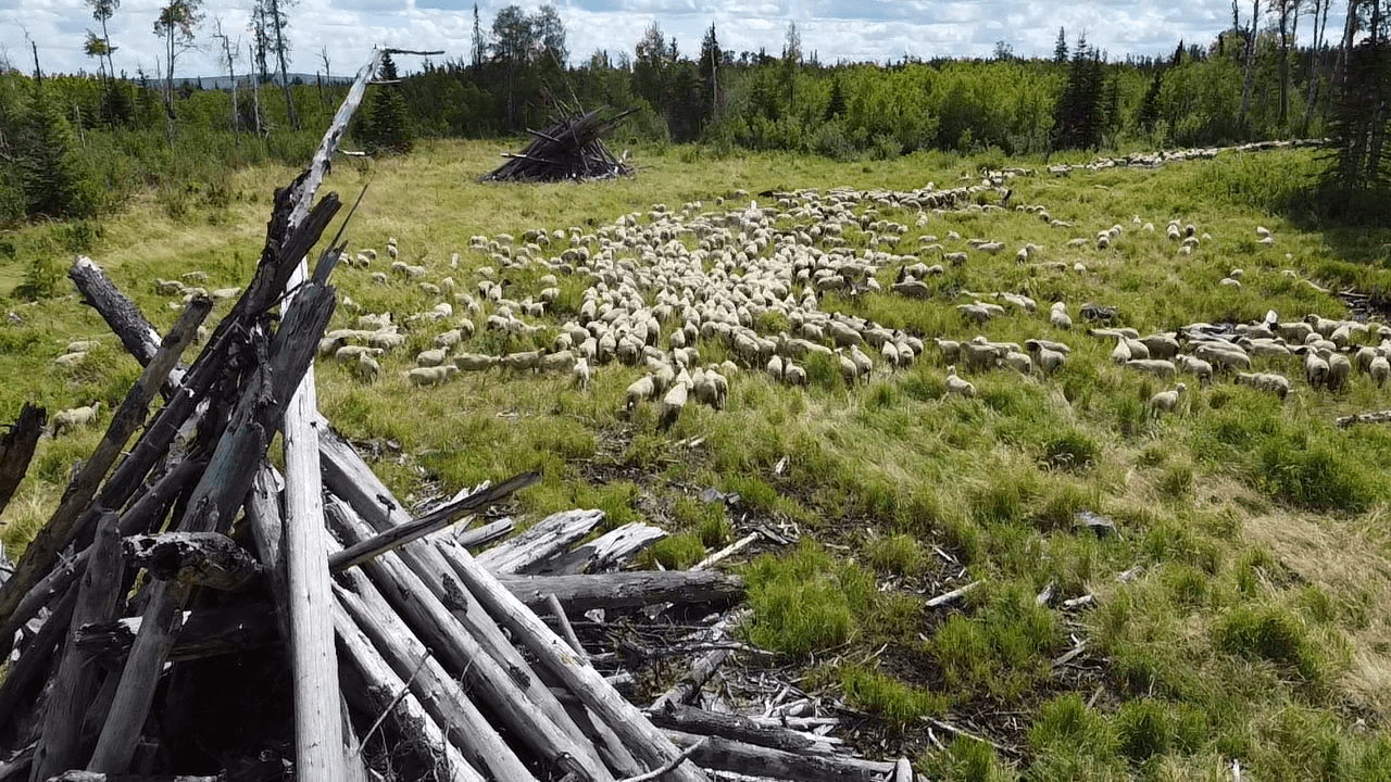 Innovator of the Year Mixes LowTech and CuttingEdge Solutions to Make