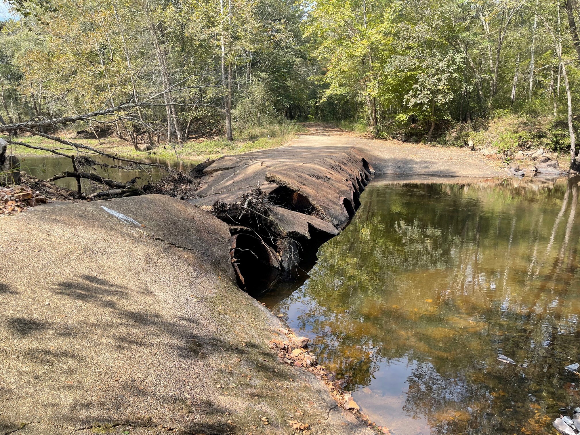 Saline River Crossing Removal Benefits Fish, Wildlife and