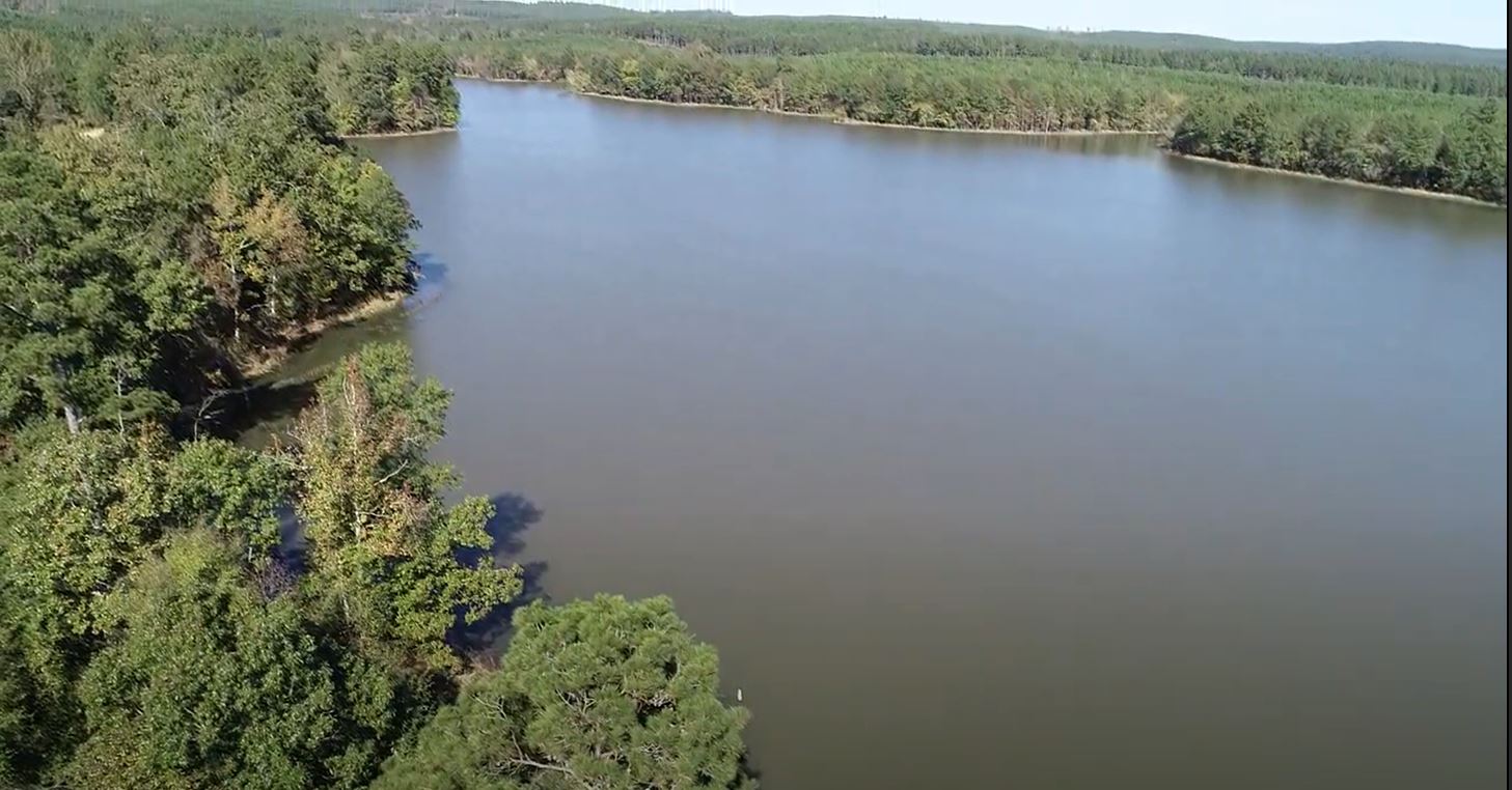 Arkansas Timberlands Partners With the State to Expand Fishing and