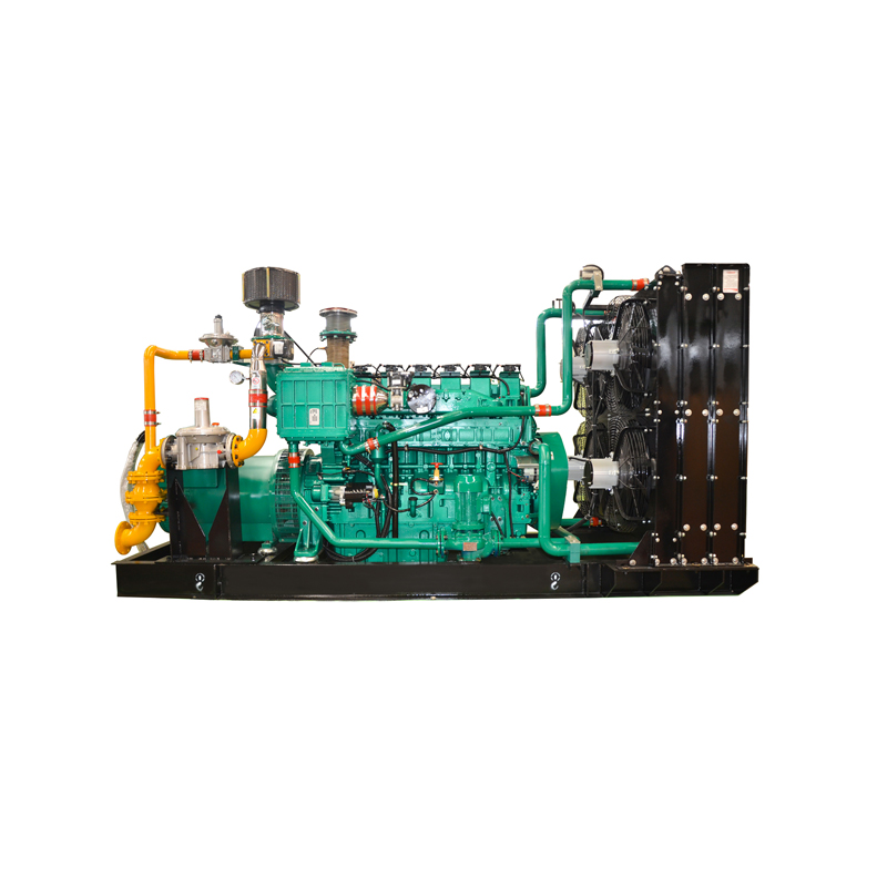 News - Working principle of biogas generator set - NPT