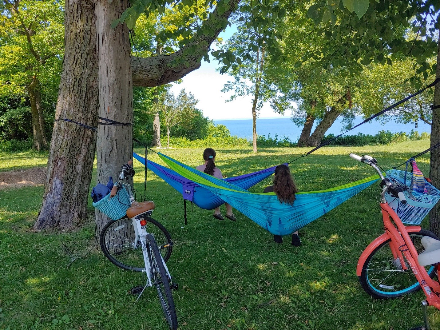 Blog · Things to Do Around Whitefish Bay Part 2 · Whitefish Bay Public