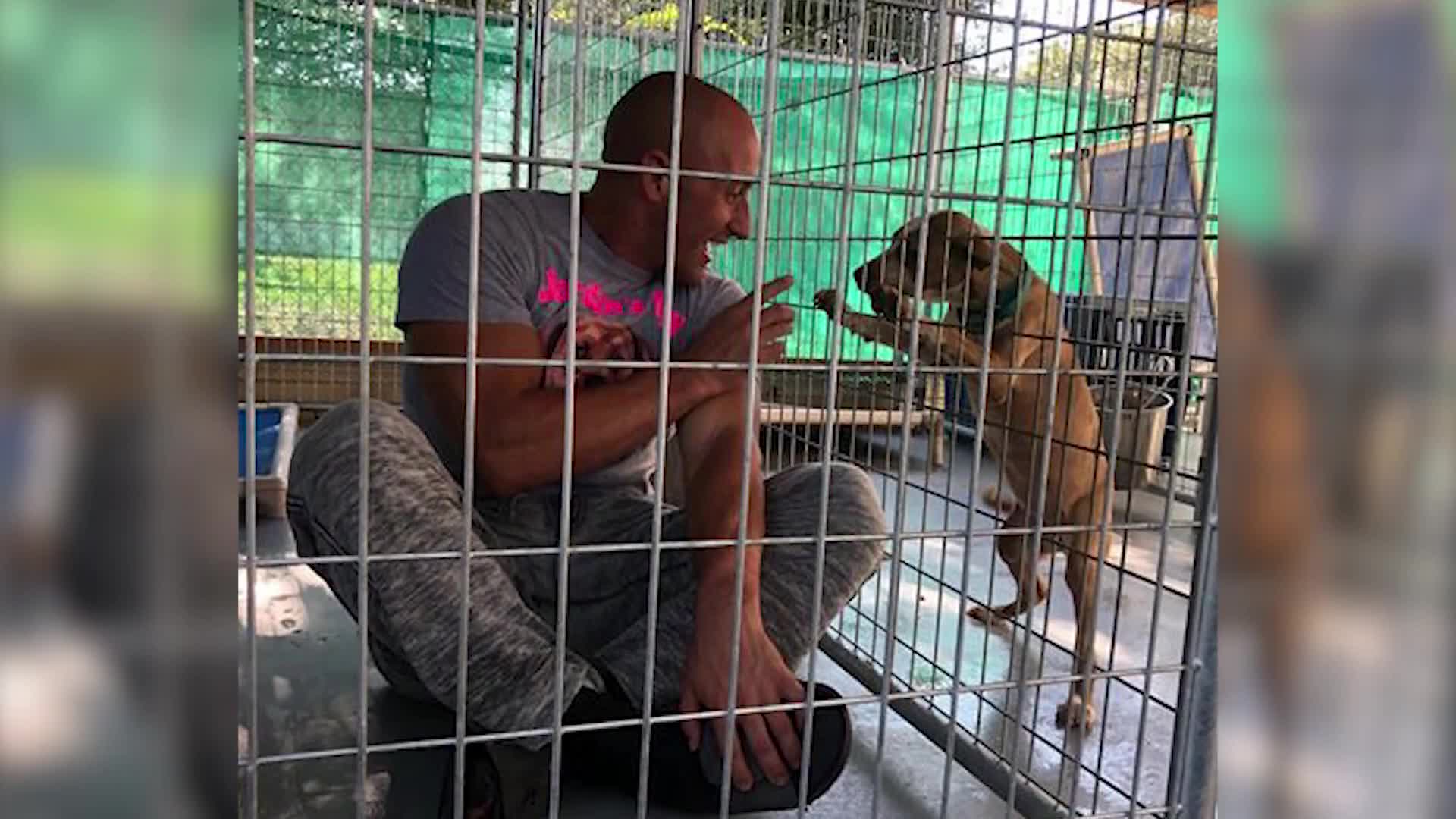 Tampa man plans to spend 72 hours in cage to raise