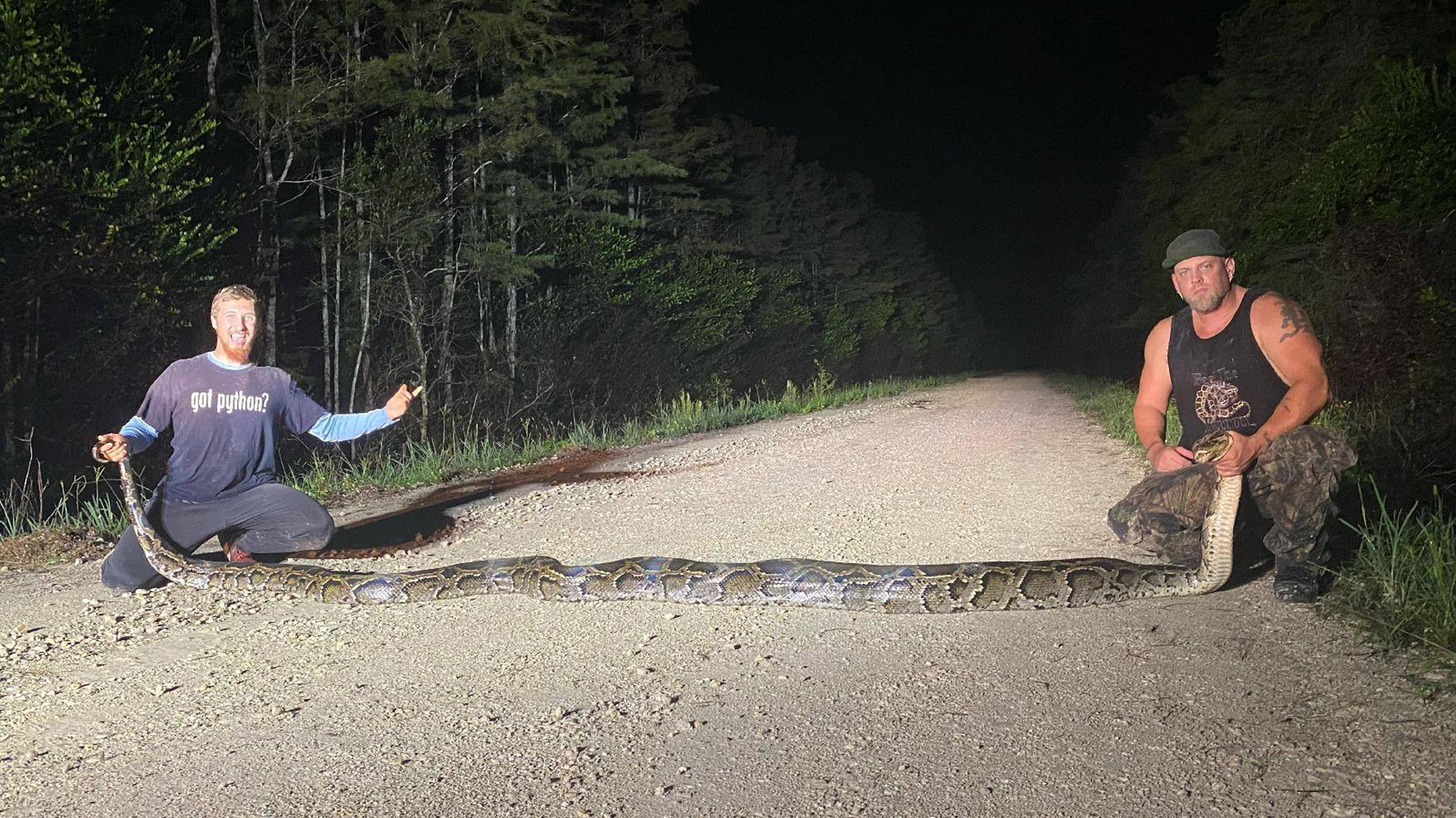 Recordbreaking python captured in Florida Wesley Chapel Magazine