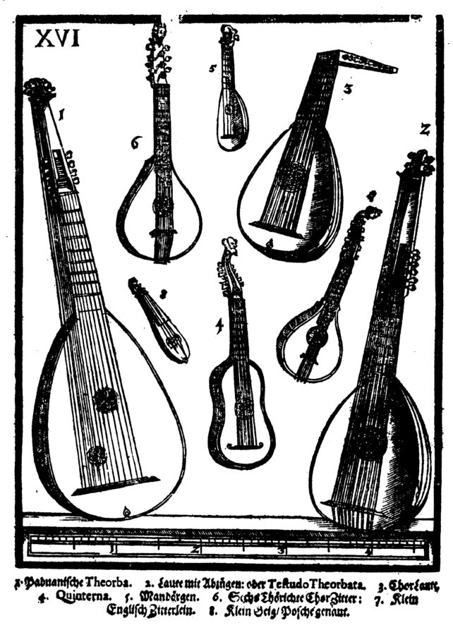 Everything You Always Wanted to Know about the Lute but Were Afraid to