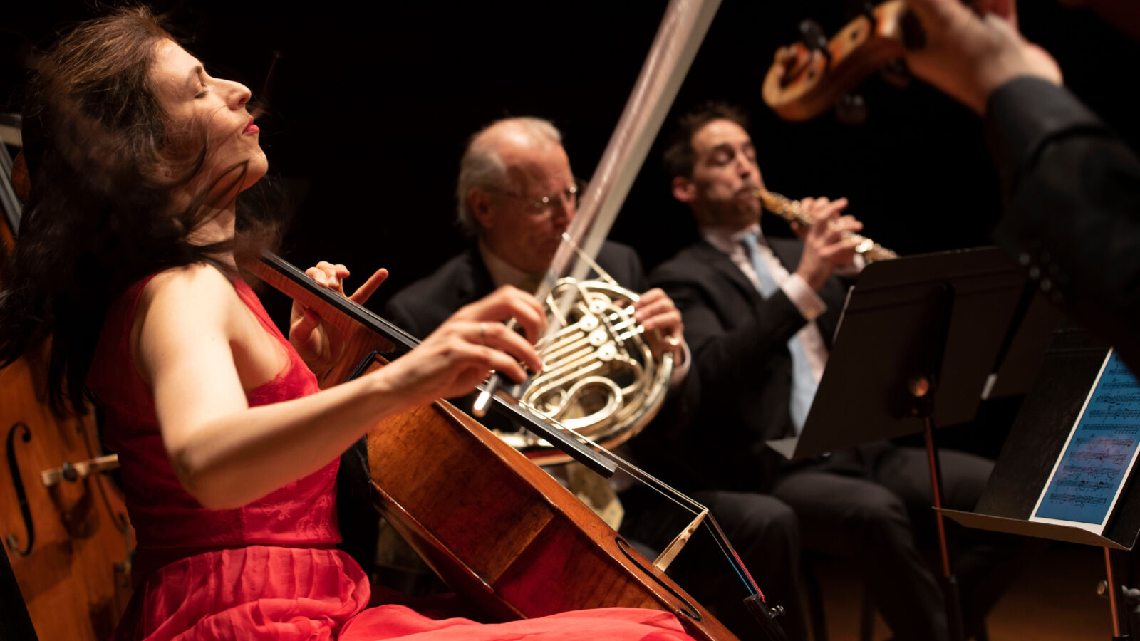 Music Endures 50 Years of Chamber Music Society of