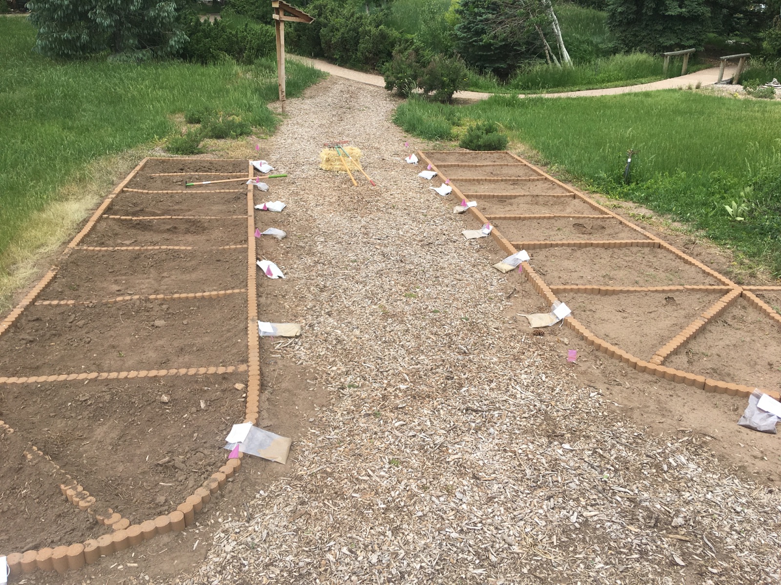 Demonstration Grass Plots at Houston Garden’s West Greeley